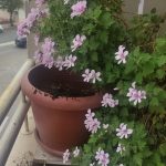 IMG_20240328_134720_210